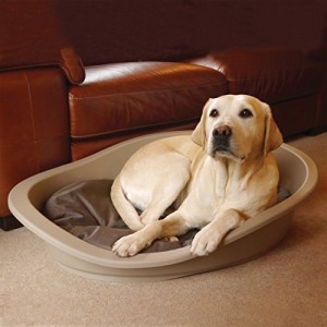 chien-au-panier