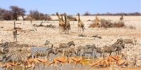 Voyage Namibie