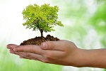 Eco Environnement 